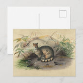 De Rasse van Joseph Wolf Briefkaart (Voorkant / Achterkant)