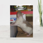 De Rat van de computer Kaart (Voorkant)