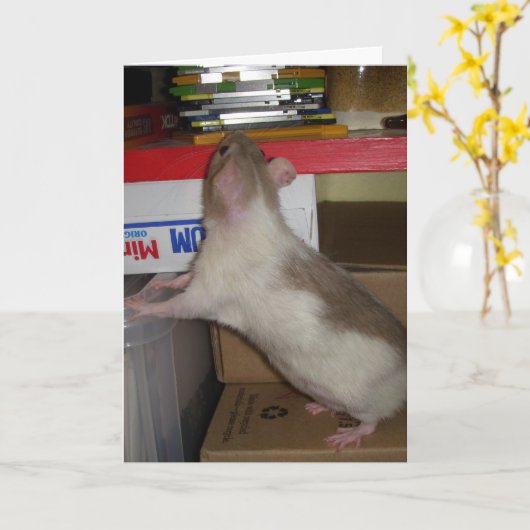 De Rat van de computer Kaart (Gele Bloem)