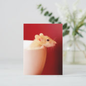 De Rat van het baby Briefkaart (Staand voorkant)