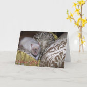 De rat van het huisdier, Duncan Birthday Card Kaart (Gele Bloem)
