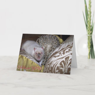 De rat van het huisdier, Duncan Birthday Card Kaart