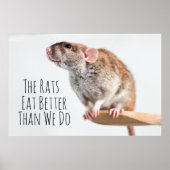De ratten eten beter dan wij poster (Voorkant)