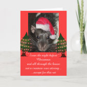 De ratten van Kerstmis Feestdagen Kaart (Voorkant)