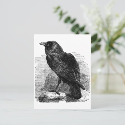 De Raven Briefkaart (Staand voorkant)