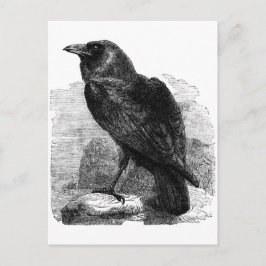 De Raven Briefkaart