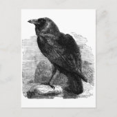 De Raven Briefkaart (Voorkant)