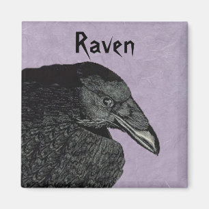 De Raven Magnet