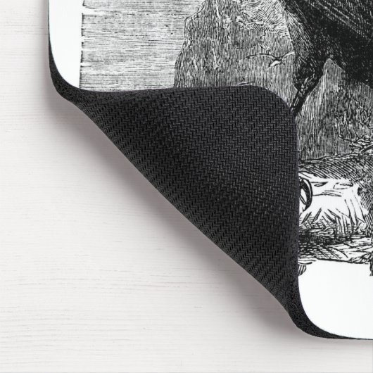 De Raven Muismat (Hoek)