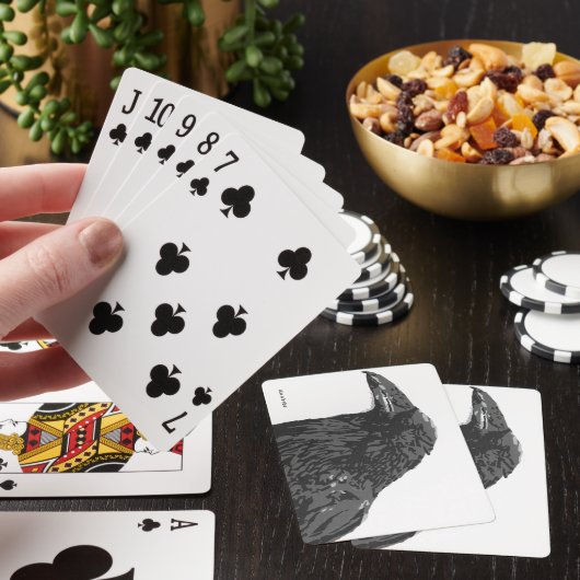 De Raven Pokerkaarten (Insitu)