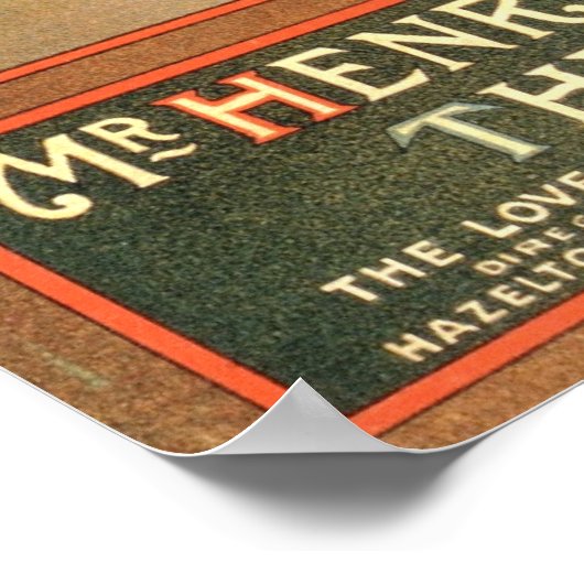 De Raven Poster (Hoek)