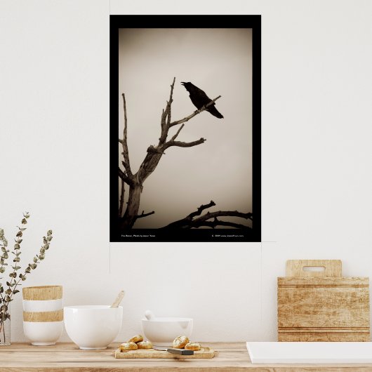 De Raven Poster (Keuken)
