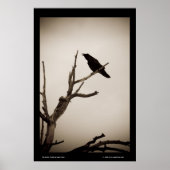 De Raven Poster (Voorkant)