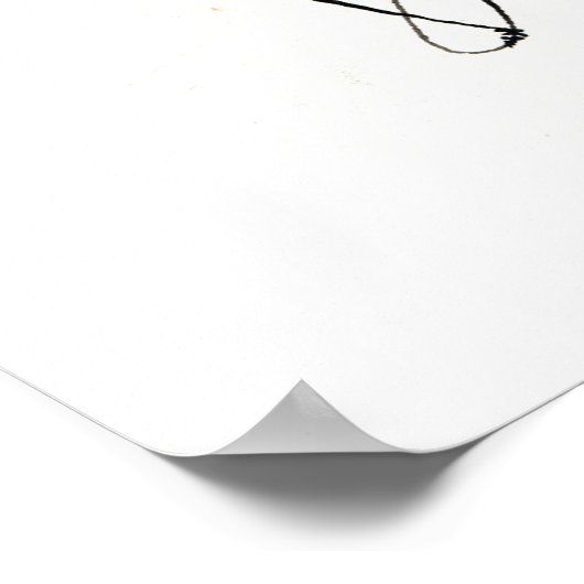 De Raven Poster (Hoek)