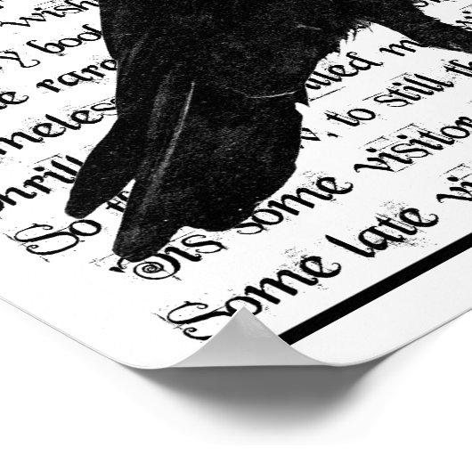 De Raven Poster (Hoek)