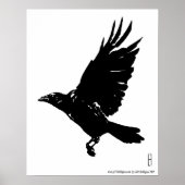 De Raven Poster (Voorkant)