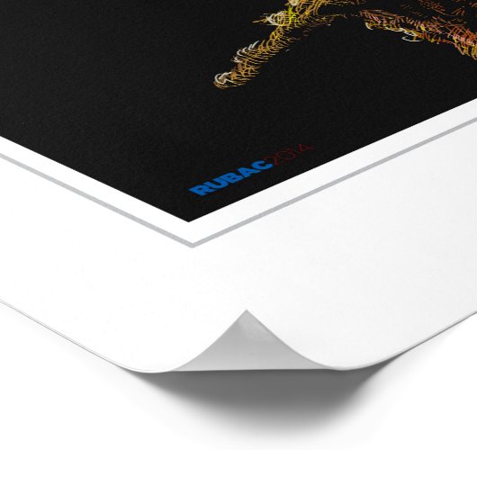 DE RAVEN POSTER (Hoek)