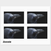 De Raven Rechthoekige Sticker (Vel)
