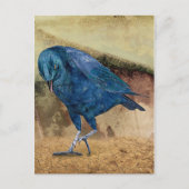 De Raven roept me! Briefkaart (Voorkant)