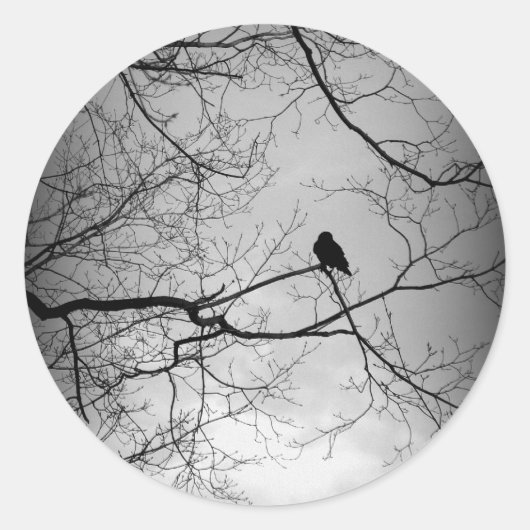 De Raven Ronde Sticker (Voorkant)