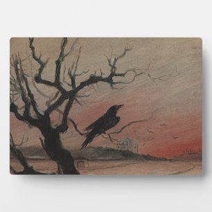 De Raven van Karlstejn, 1882 Fotoplaat