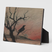 De Raven van Karlstejn, 1882 Fotoplaat (Zijkant)