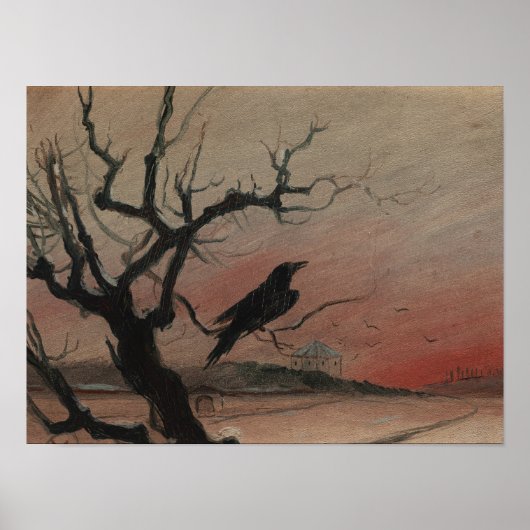 De Raven van Karlstejn, 1882 Poster (Voorkant)