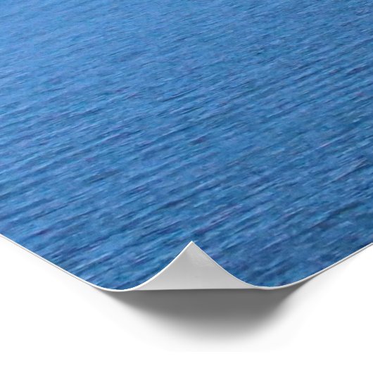 De Ravenel Bridge Poster (Hoek)