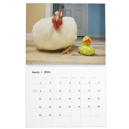 De Real Boo de Roo 2022 Agenda Kalender (Mar 2026)