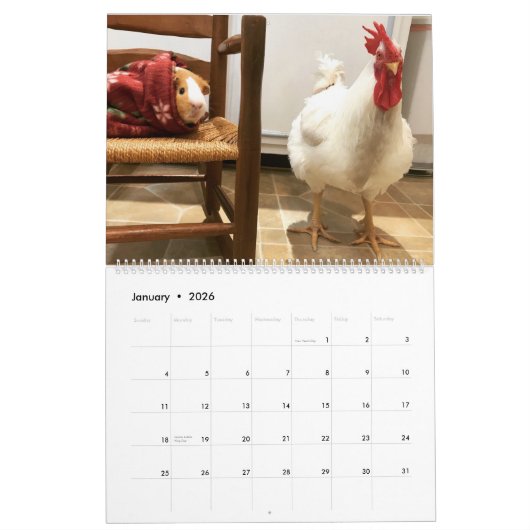 De Real Boo the Roo 2019 Calendar Kalender (Jan 2026)
