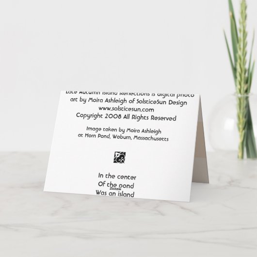 De recente Bezinningen van het Eiland van de Kaart (Achterkant)