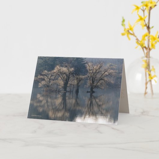 De recente Bezinningen van het Eiland van de Kaart (Gele Bloem)