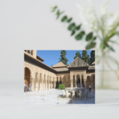 De rechtbank van het Briefkaart van Lions (Staand voorkant)