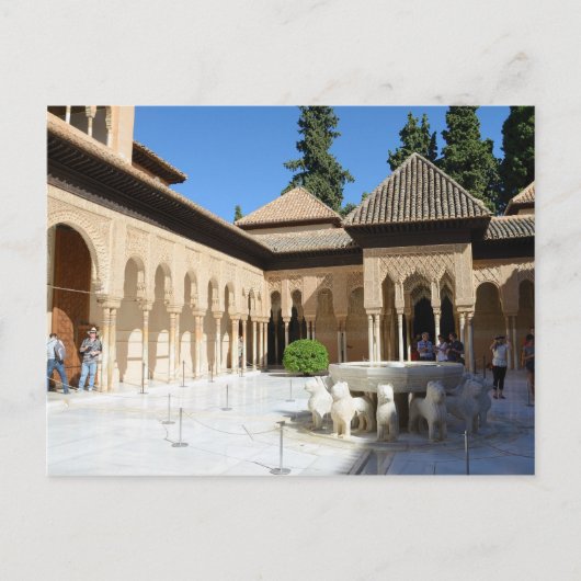 De rechtbank van het Briefkaart van Lions (Voorkant)