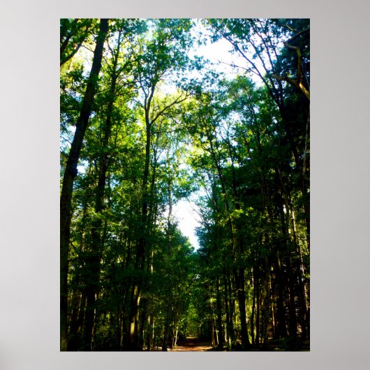 De rechte en pijl poster (Voorkant)