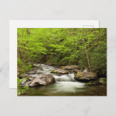 De rechte vork stroomt door bos briefkaart (Voorkant / Achterkant)