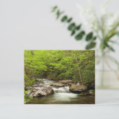 De rechte vork stroomt door bos briefkaart (Staand voorkant)