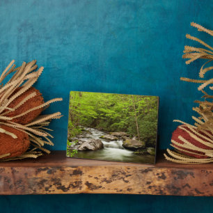 De rechte vork stroomt door bos fotoplaat