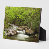 De rechte vork stroomt door bos fotoplaat (Zijkant)