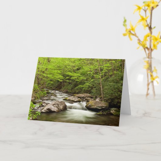 De rechte vork stroomt door bos kaart (Gele Bloem)