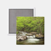 De rechte vork stroomt door bos magneet (Voorkant / Achterkant)