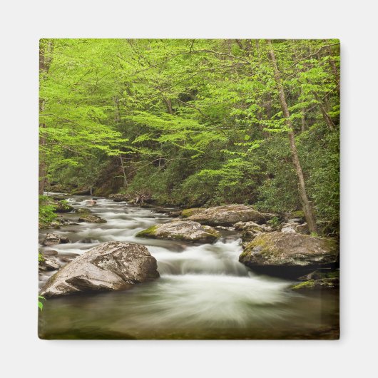 De rechte vork stroomt door bos magneet (Voorkant)