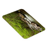 De rechte vork stroomt door bos magneet (Rechterzijde)