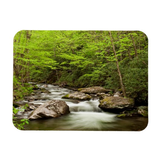 De rechte vork stroomt door bos magneet (Horizontaal)