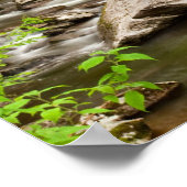 De rechte vork stroomt door bos poster (Hoek)