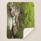 De rechte vork stroomt door bos sherpa deken (Voorkant)