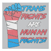 De rechten van de mens perfect poster (Voorkant)