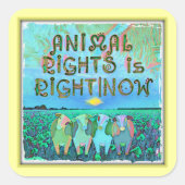 De rechten van dieren hebben gelijk|Nu Stickers (Voorkant)