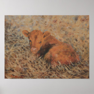 De Red Calf Fine Art-afdrukken Poster