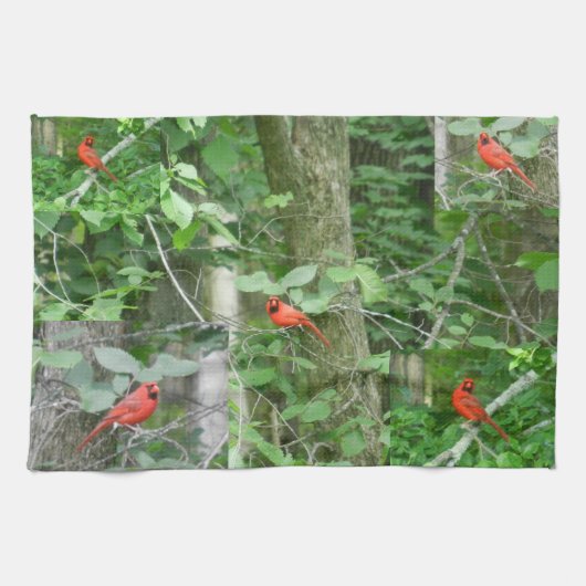 DE RED CARDINAL handdoek (Horizontaal)